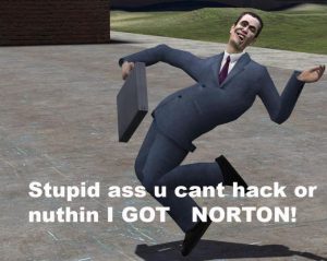 I got Norton meme