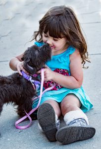 Friendly dog, licking face of happy child