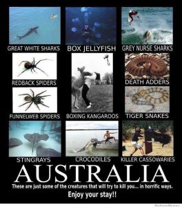 MEME: Pictures of Australia's deadly animals.