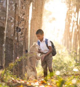 Boy playing with dog in forest