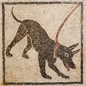 "Beware of Dog" mosaic, Pompeii