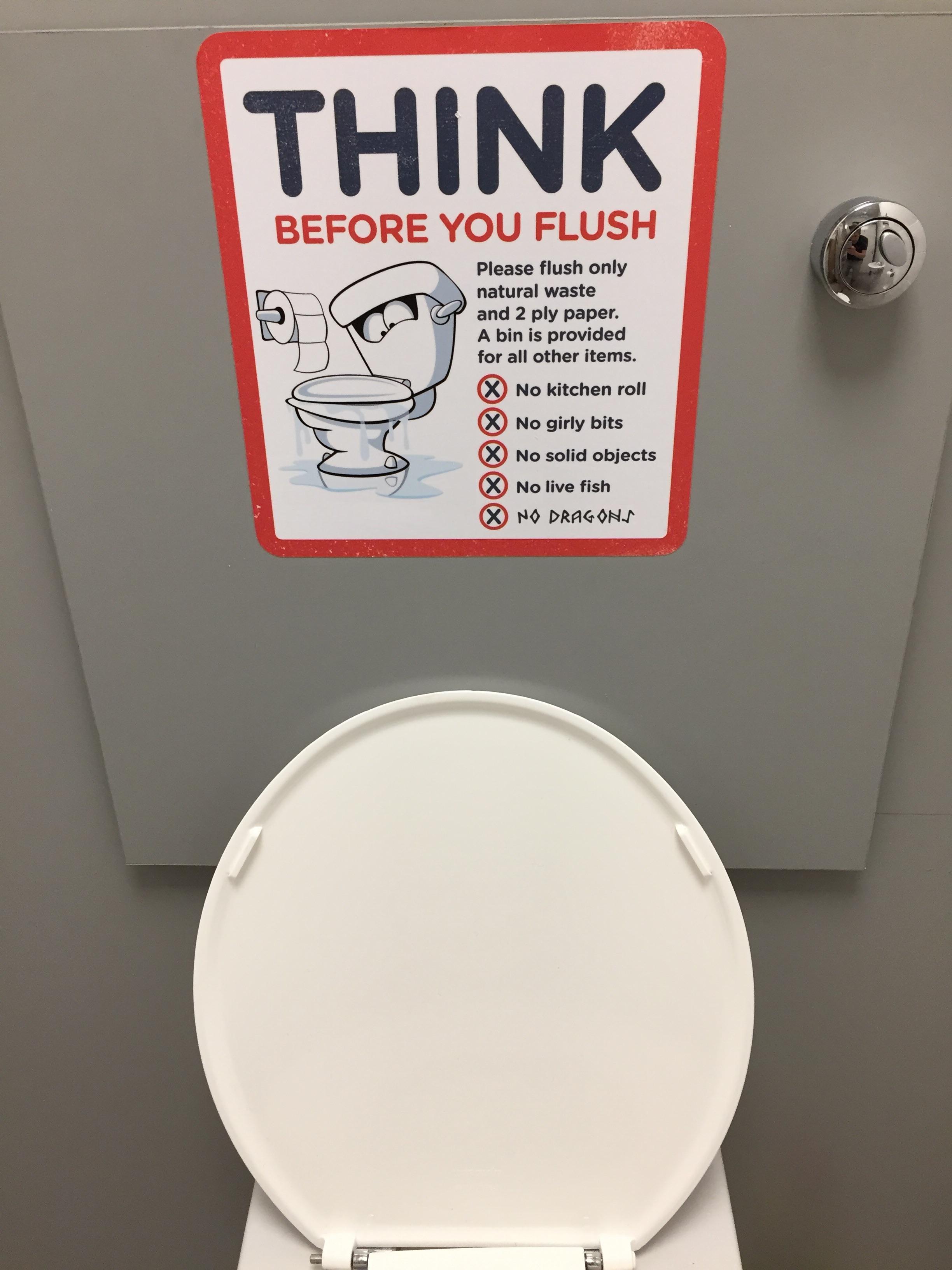 Sign above toilet, warning not to flush kitchen rolls, sanitary pads, solid objects, live fish and dragons.