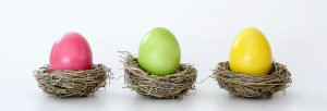 A single egg in each nest