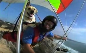 Man paragliding, with dog