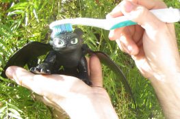 Toothless getting brushed over the head with a toothbrush