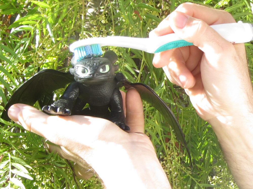 Toothless getting brushed over the head with a toothbrush